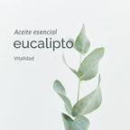 Desodorante Natural EUCALIPTO
