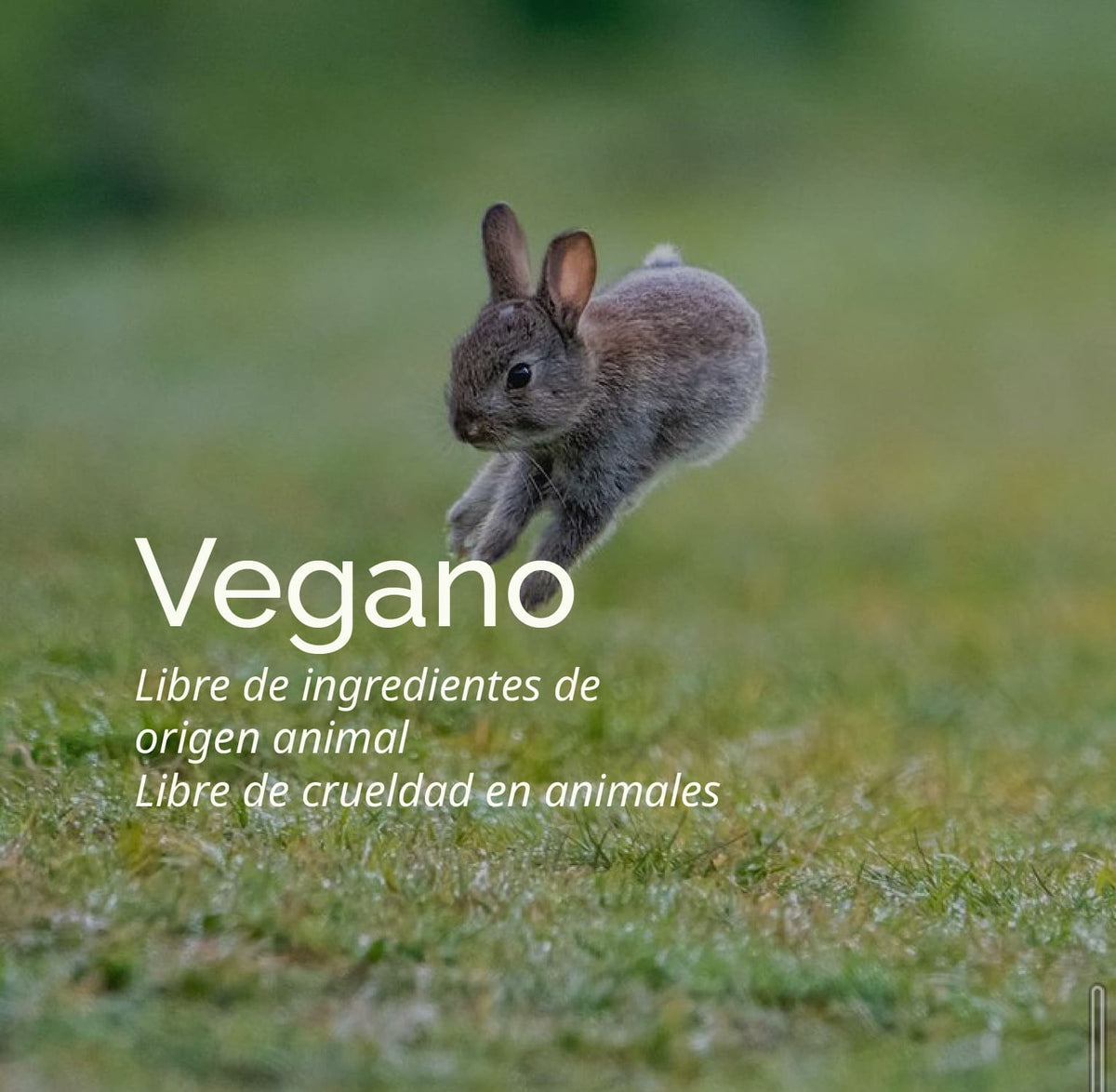 Desodorante Natural - INFANTIL